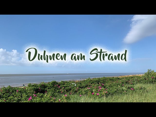 Duhnen am Strand (3D 180 VR)