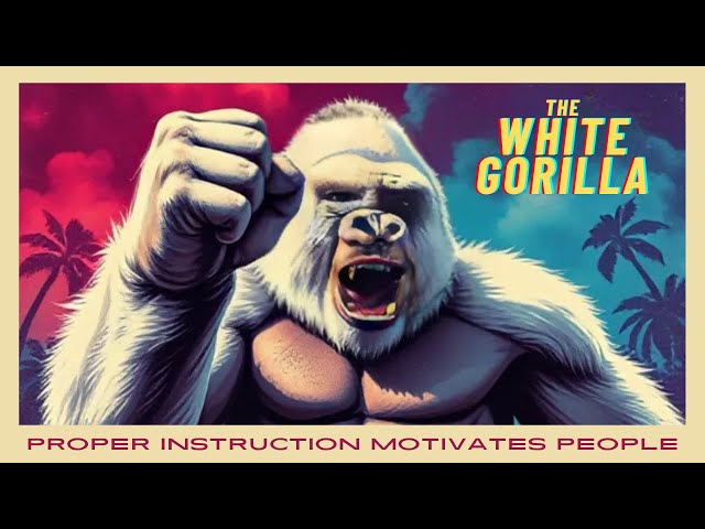 "The White Gorilla On The Loose" #Law #TrumpDaddy #Safety