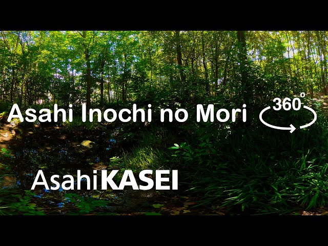 The Asahi Kasei Group Conserving Our Shared Biodiversity "Asahi Inochi no Mori"  360° VR Forest Walk