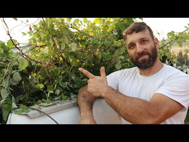 CRAZY COUPLE moves EVERY plant to their NEW FARM