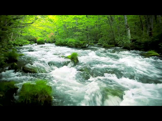 Beautifull Forest River Relaxing water sound, waterfall sounds white noise, river sound for sleeping