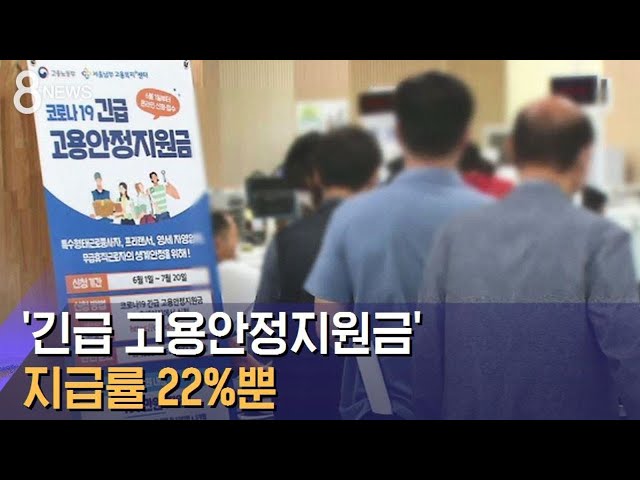 2주 내 준다던 '긴급 고용안정지원금'…지급률 22%뿐 / SBS