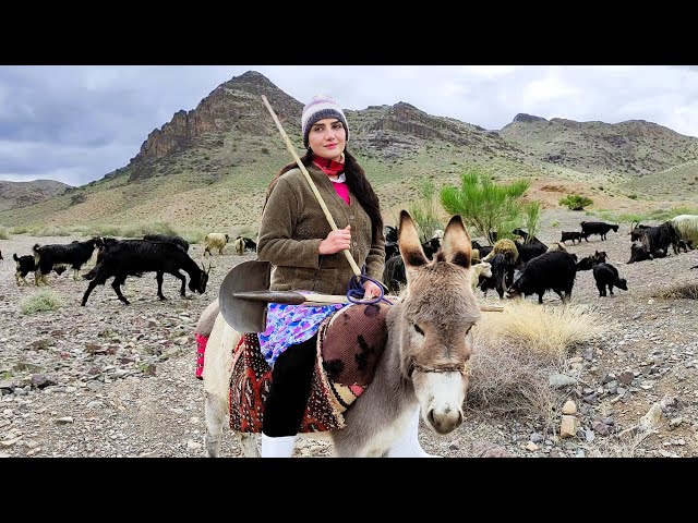 Village Life In Iran: Amazing Cooking & Donkey Riding By A Girl