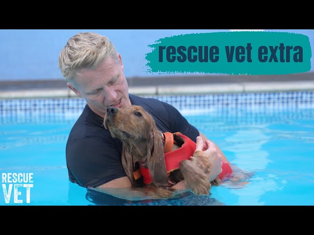 Mango's first swimming lesson! | Rescue Vet Extra with Dr Scott Miller