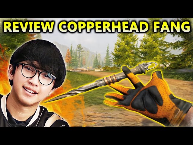 REVIEW SKIN PISAU COPPERHEAD FANG! INI KEREN BANGET GAYANYA, DRAW PALING WORTH IT! -  Arena Breakout