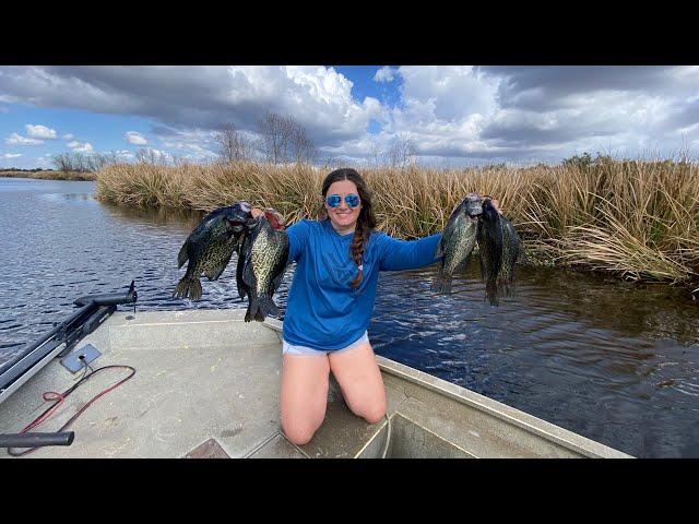 Catching BIG Louisiana Sac Au Lait (Crappie) with Jigs on Grass Banks!