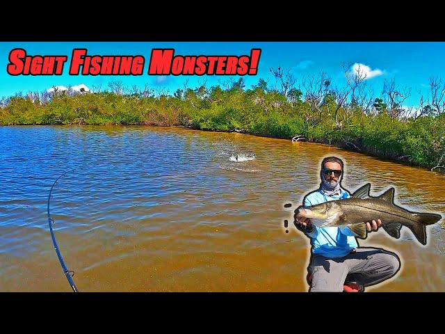 Monsters In The Back Country! | Snook Fishing In Pine Island, FL.