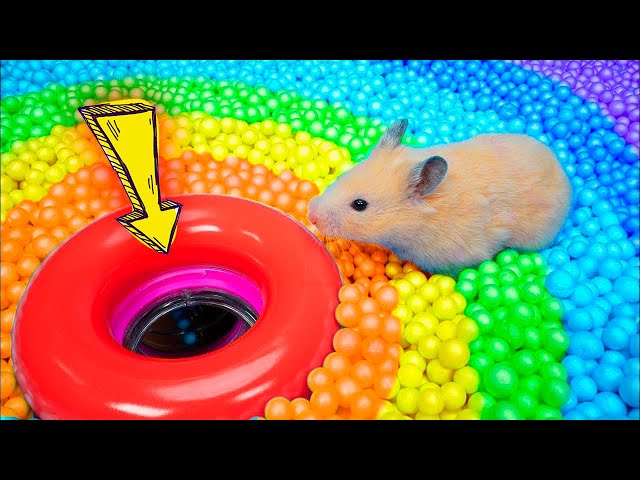 Hamster Escapes Prison Maze🛑Live Stream