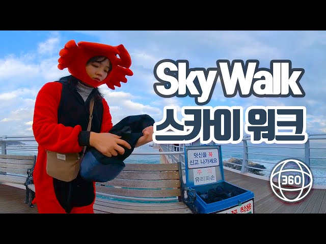 [360 in Korea]  Skywalk walking on the sea/ Uljin /VR/360