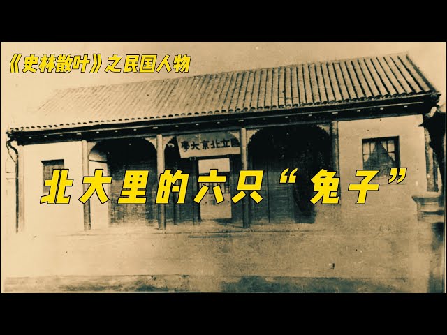 北大里的六只“兔子”