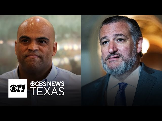 Can Colin Allred unseat Ted Cruz in Senate race?