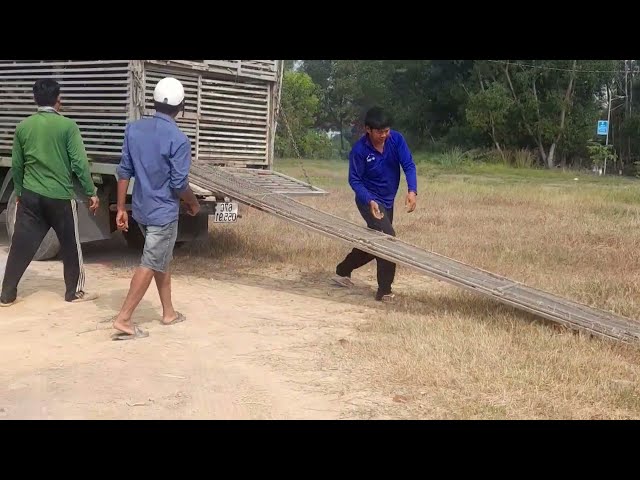 technique of raising ducks and transporting them on trucks to other fields