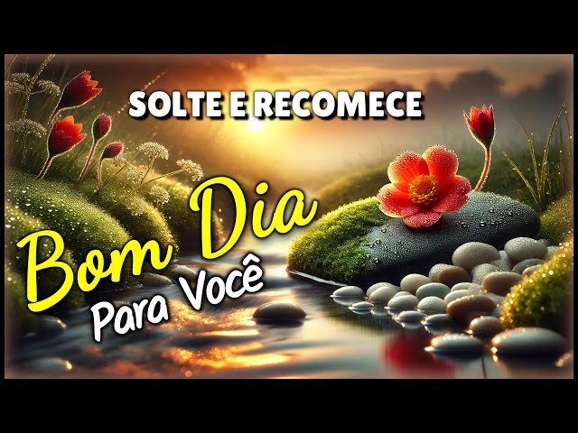 Mensagem de Bom Dia e Reflexão - Solte  e Recomece