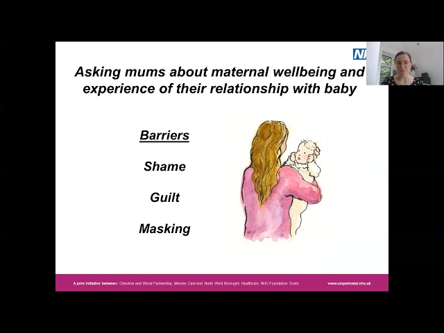 What is Perinatal Mental Health?