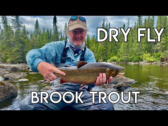 Ultimate Labrador Brook Trout Fishing