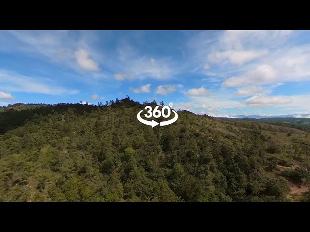 Clean Cooking 360 Video Tour | Climate Impact Partners