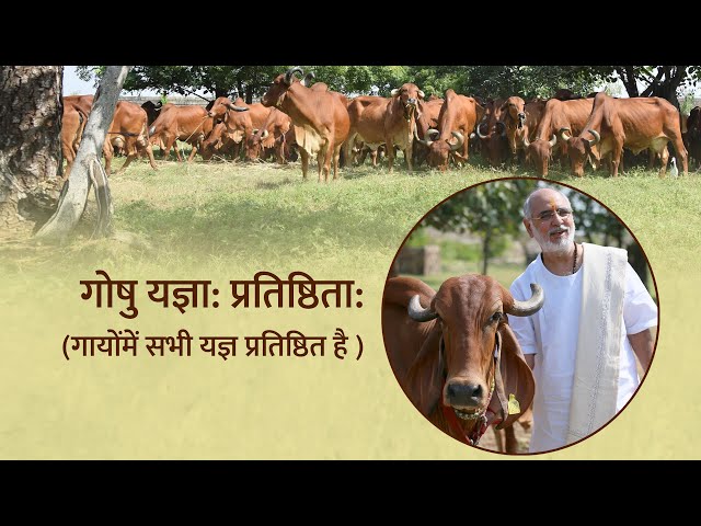 Gau Mandir at Sandipani Gaushala graced by Pujya Bhaishri Rameshbhai Oza