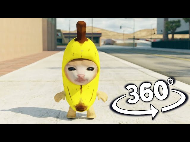 Banana Cat But It's 360 degree video | Happy Happy cat