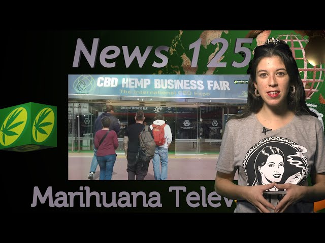 El OLOR A CANNABIS y la CRUZADA PROHIBICIONISTA - Marihuana News 125