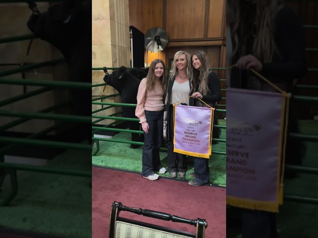 Grand champion steers are the stars at Brown Palace hotel in Denver