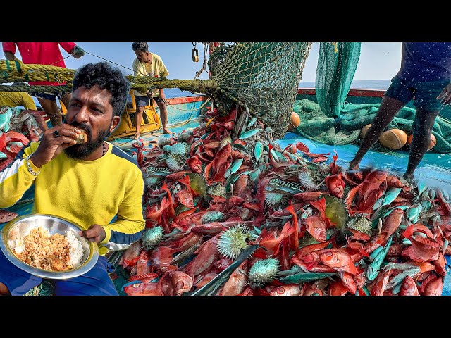 WOW🤩Caught a Lot of Unnimary Fishes in Deep Sea | Mangalore Boat | lunch special Tuna fish curry🤤