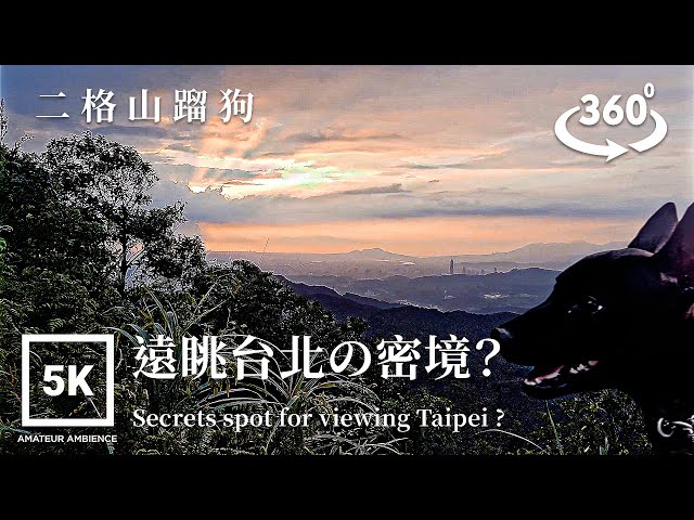 5K 360 VR Taiwan Dog 台灣犬Taipei Walk二格山蹓狗探險 Dog Walk Ergeshan Adventure | Taiwan Walk Asmr Flaneur