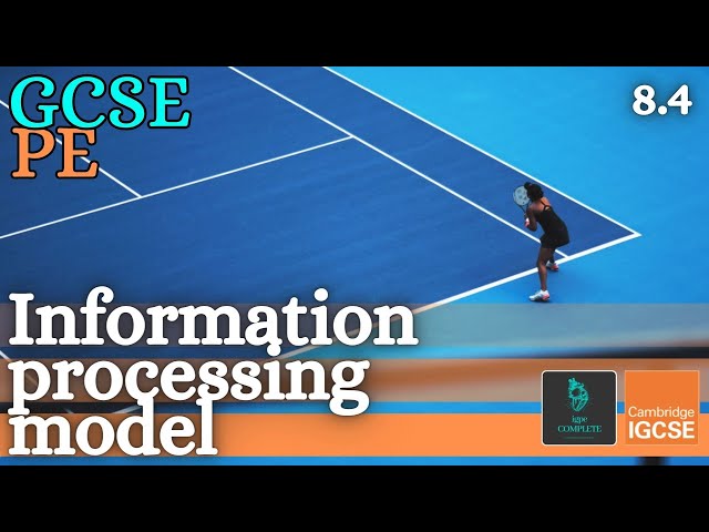 GCSE PE - INFORMATION PROCESSING MODEL- (Skill Acquisition & Psychology) - (Skill Acquisition 8.4)