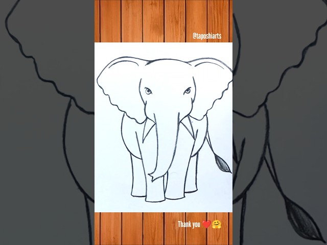 Easy elephant pencil drawing#ytshort #elephant #art #pencildrawing