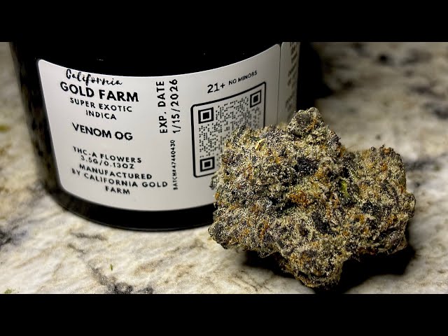 Trying California Gold Farm Venom OG flower, THCa review!