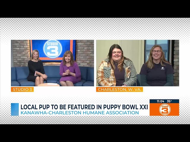 Local pup to be featured on Puppy Bowl