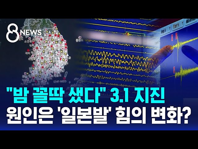 "밤 꼴딱 샜다" 3.1 지진…원인은 '일본발' 힘의 변화? / SBS 8뉴스