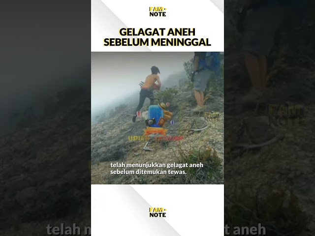 Gelagat Aneh Seorang Pendaki Sebelum Meninggal di Gunung Lawu