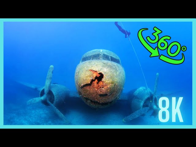 360 vr video scuba diving sunken airplane