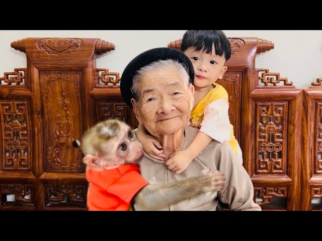 Monkey Diana and little Roma help her great-grandmother to be happy again