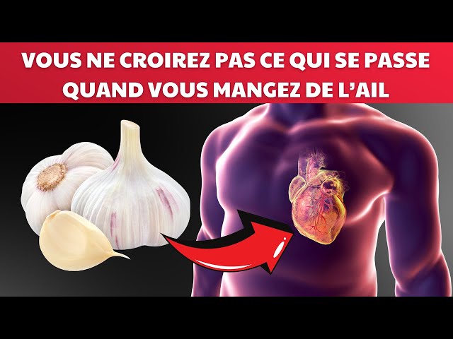 J’ai mangé de l’ail tous les jours pendant un mois, voici ce qui s’est passé ! |Fact24h