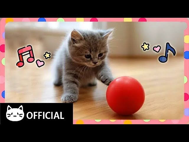 [Cat Song] Let’s Play Ball: Fun for All ⚽ | Music for Inner Harmony 🎶