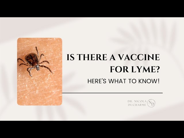 Is There a Vaccine for Lyme?