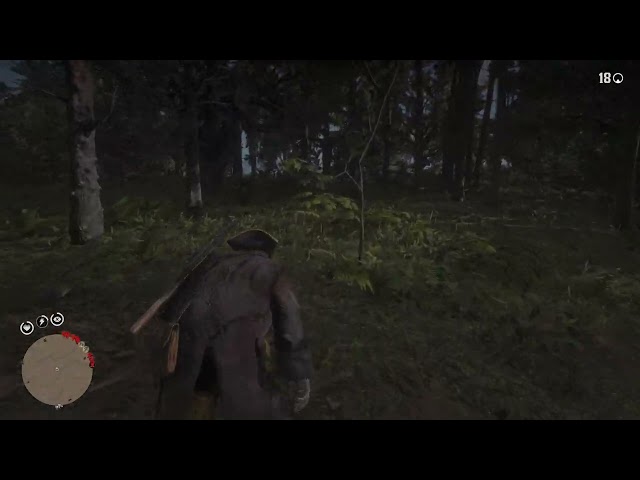 My Red Dead Redemption 2 GAMEPLAY Chapter 6 part 252