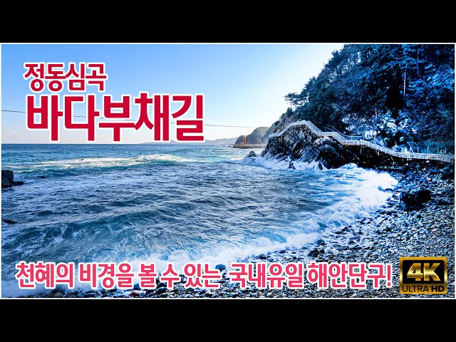 A natural beauty! The only coastal terrace in Korea - JeongdongSimgokBadaBuchaeRoad