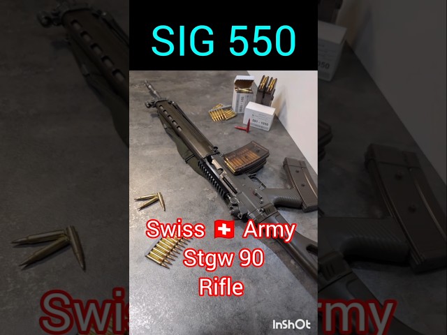 SIG 550 Swiss 🇨🇭 Army Rifle Part 1