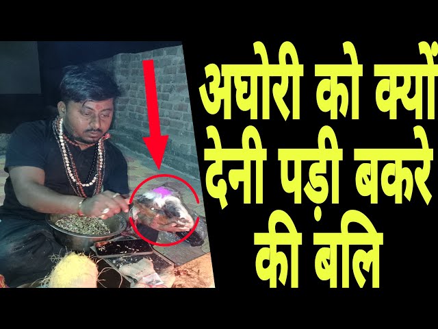 अघोरी को क्यों देनी पड़ी बकरे की बलि | aghori baba | shamshan kriya | vashikaran |