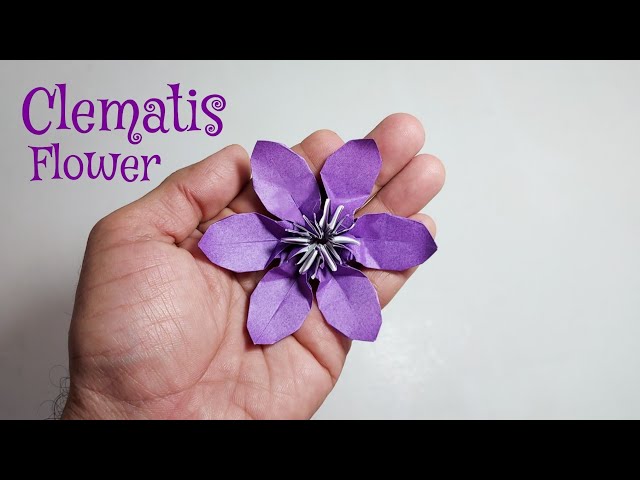 CLEMATIS FLOWER TUTORIAL [2025)💕🌼