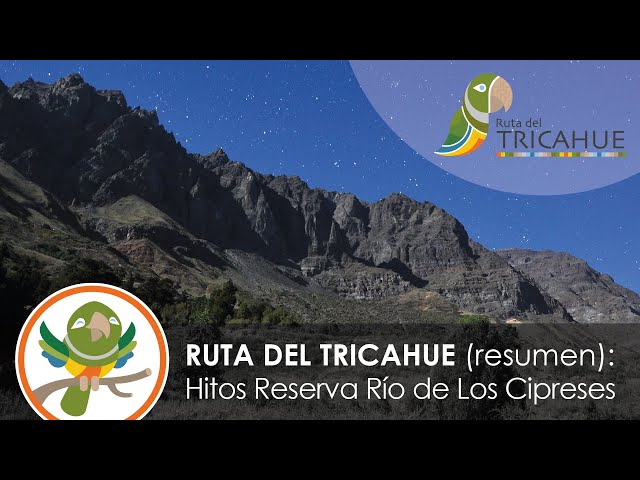 Rio Cipreses Reserve Virtual Horseback Ride, CHILE. Ride Summary. VR 360 4K [ENGLISH SUBS]