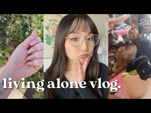 living alone vlog 🥯 what i eat, new workout routine, being productive