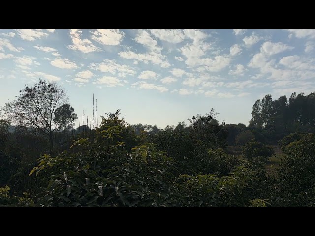 Timelapse Shot on IPhone 15 smooth shot 😇😇/ Subscribe my channel/ #viral #iphone #trending #shorts