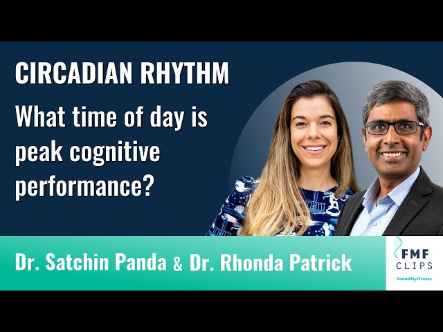 What time of day do we have peak cognitive performance? | Dr. Satchin Panda