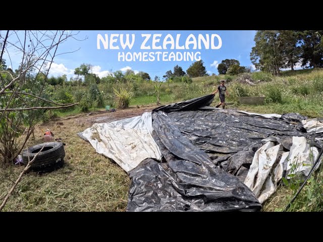 lets start a new garden on our New Zealand homestead