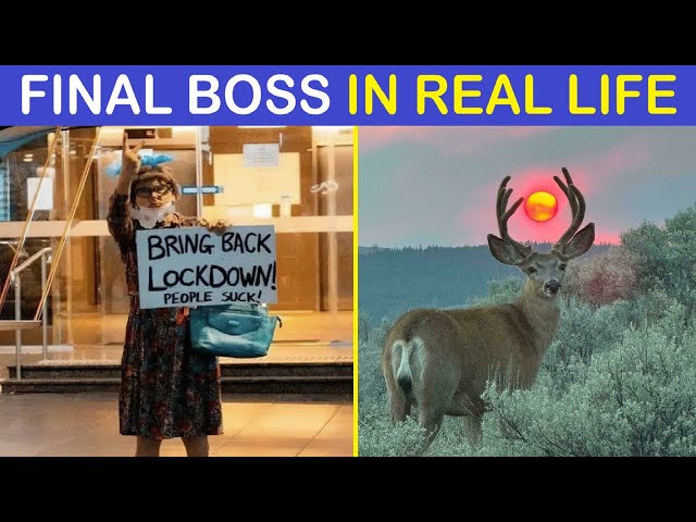 Times People Spotted A “Final Boss” In Real Life And Had To Share It | Happy And Fun