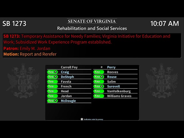 Senate of Virginia: Rehabilitation and Social Services on 2025-01-24 [Finished]