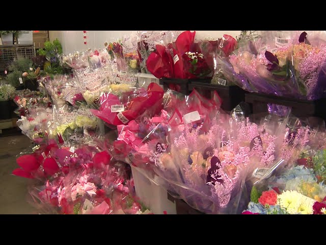 Here’s how much San Antonians will pay for roses this Valentine’s Day